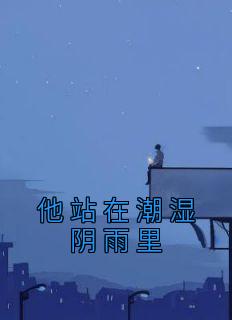 主角是夏笙陈斯屿的小说 《他站在潮湿阴雨里》 全文免费试读