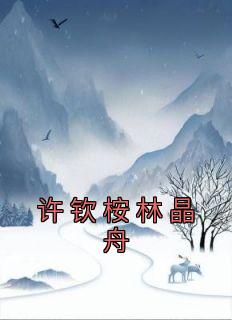 《许钦桉林晶舟》小说大结局精彩试读 许钦桉林晶舟小说全文